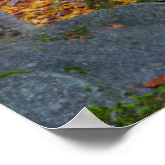 Weg führt zur Parkbank Poster (Ecke)