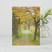 Weg im Herbst Dankeskarte (Stehend Vorderseite)