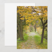 Weg im Herbst Dankeskarte (Vorne/Hinten)