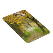 Weg im Herbst Magnet (Rechte Seite)