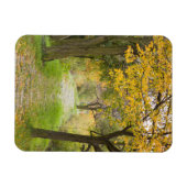 Weg im Herbst Magnet (Horizontal)