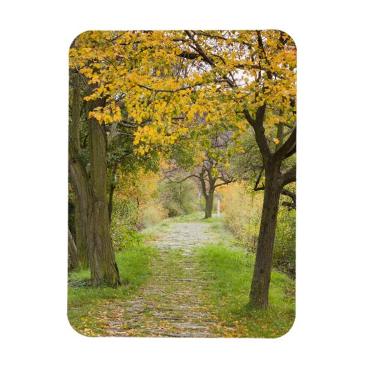 Weg im Herbst Magnet (Vertikal)