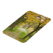 Weg im Herbst Magnet (Linke Seite)