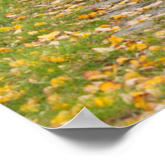 Weg im Herbst Poster (Ecke)