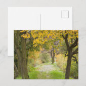 Weg im Herbst Postkarte (Vorne/Hinten)
