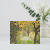 Weg im Herbst Postkarte (Stehend Vorderseite)