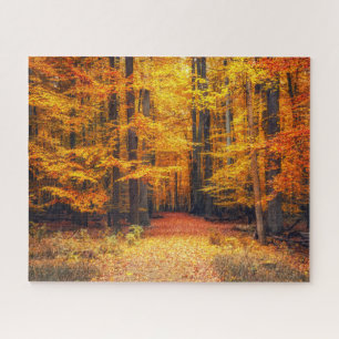 Weg im Herbstpark Puzzle
