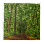 Weg im Holz Fliese (Vorderseite)