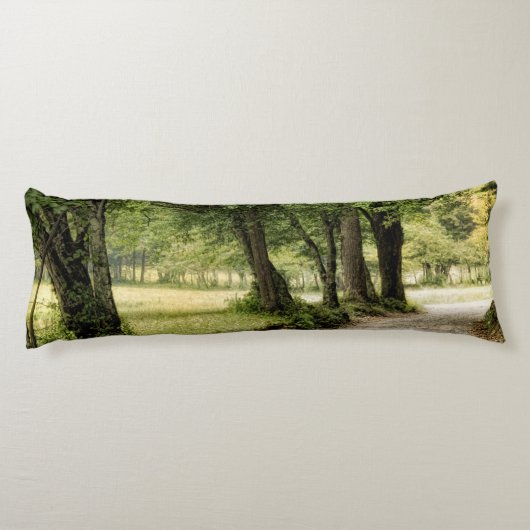 Weg im Land Seitenschläferkissen (Rückseite)