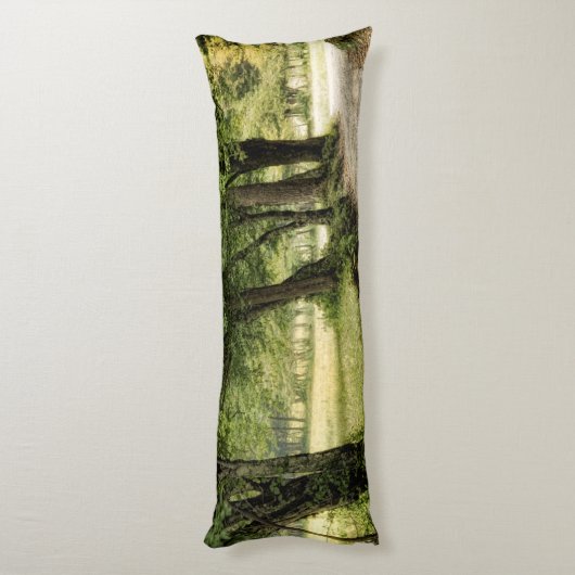 Weg im Land Seitenschläferkissen (Rückseite (Vertikal))