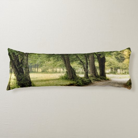 Weg im Land Seitenschläferkissen (Vorderseite)