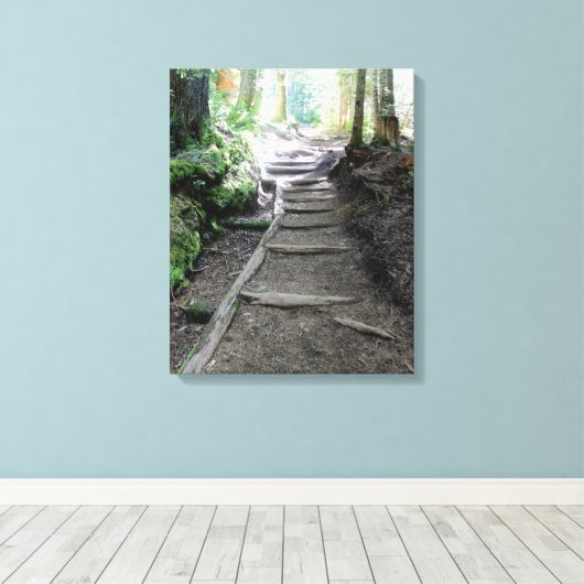Weg in den Wäldern des Berges Canvas Print Leinwanddruck (Insitu (Holzboden))
