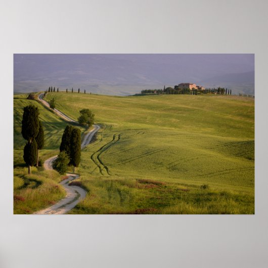 Weg nach Terrapille in Toskana-Poster Poster (Vorne)