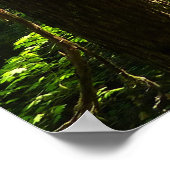 Weg von Silver Falls Poster (Ecke)