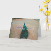 Weg weg Pfau - Denken Sie an Ihre Karte (Gelbe Blume)