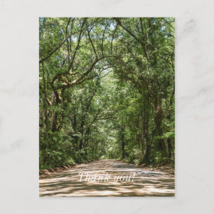 Weg zu Angel Oak Vielen Dank Postkarte
