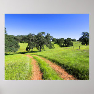 Weg zum Frühling Poster