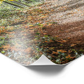 Weg zum Herbst Fotodruck (Ecke)