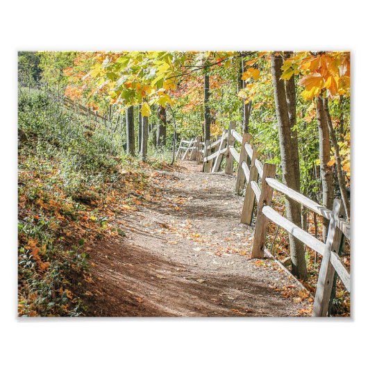 Weg zum Herbst Fotodruck (Vorne)