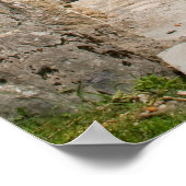 Weg zum Kloster Motsameta Poster (Ecke)