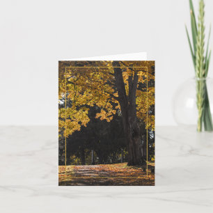 Weg zum Komfort Karte