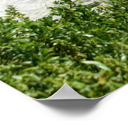 Weg zum Meer Poster (Ecke)