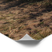 Weg zum Ozean Poster (Ecke)
