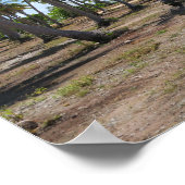 Weg zum Paradies Rangiroa Poster (Ecke)