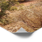 Weg zum Skyline Arch Poster (Ecke)