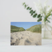 Weg zum Strand durch Strandhafer Postkarte (Stehend Vorderseite)