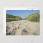 Weg zum Strand durch Strandhafer Postkarte (Vorne/Hinten)