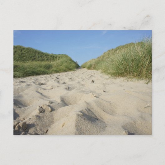 Weg zum Strand durch Strandhafer Postkarte (Vorderseite)