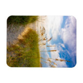Weg zum Strand Magnet (Horizontal)