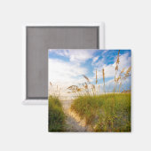 Weg zum Strand Magnet (Vorderseite/Rückseite)