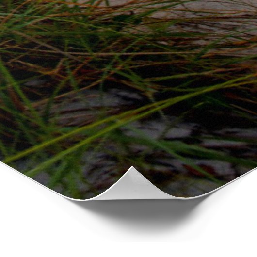 Weg zum Strand Poster (Ecke)