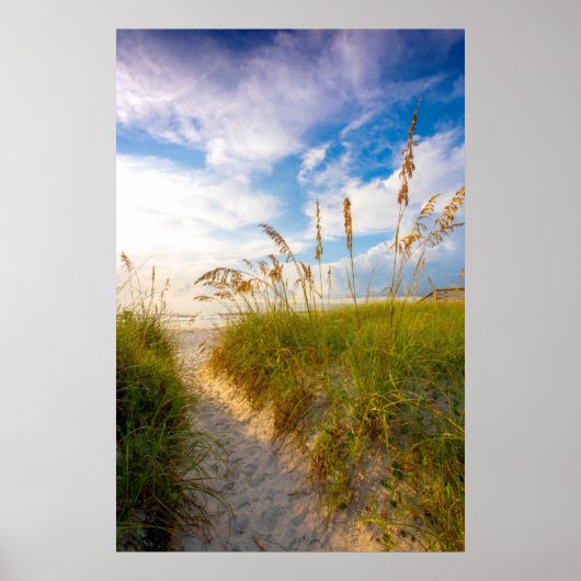 Weg zum Strand Poster (Vorne)