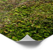 Weg zum Strand Poster (Ecke)