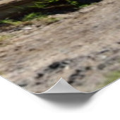 Weg zum Strand Poster (Ecke)
