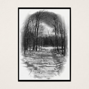 Weg zum Teich ATC