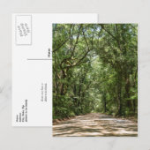 Weg zur Angel Eak Postkarte (Vorne/Hinten)