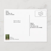 Weg zur Angel Eak Postkarte (Rückseite)