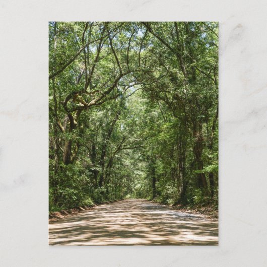 Weg zur Angel Eak Postkarte (Vorderseite)