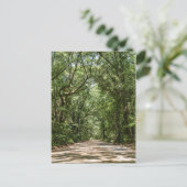 Weg zur Angel Eak Postkarte (Stehend Vorderseite)