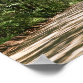 Weg zur Angel-Eiche Poster (Ecke)