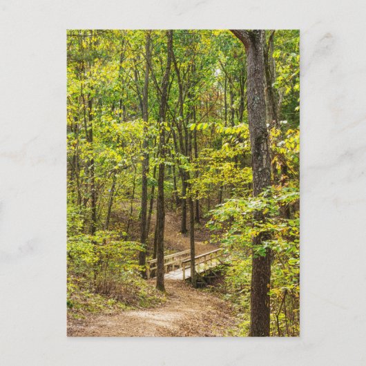 Weg zur Bridge-Postkarte Postkarte (Vorderseite)