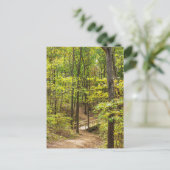 Weg zur Bridge-Postkarte Postkarte (Stehend Vorderseite)