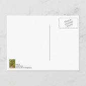 Weg zur Brücke Danke Postkarte (Rückseite)