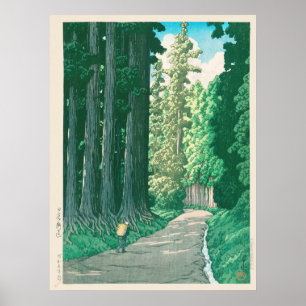 Weg zur japanischen Forstkunst Nikko Poster
