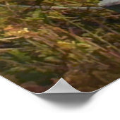 Weg zur Meeresküste Poster (Ecke)