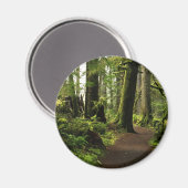 Weg zwischen Giganten Magnet (Vorderseite/Rückseite)